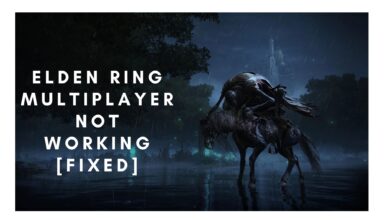 Elden Ring multiplayer not working