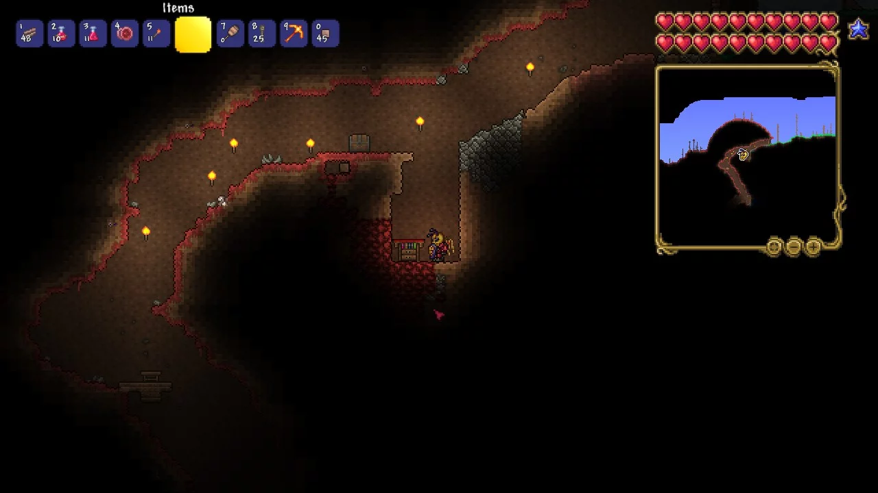 I'm standing by the tinkerer's workshop but still get no ankh charm whyy??  : r/Terraria
