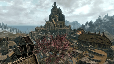 Skyrim In My Time of Need