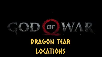 God of War Dragon Tears