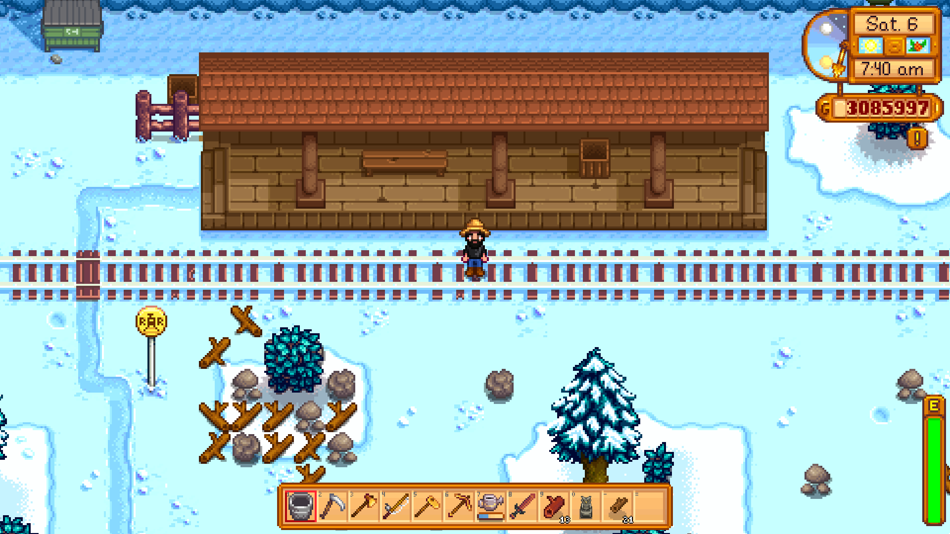 A train is passing through stardew valley