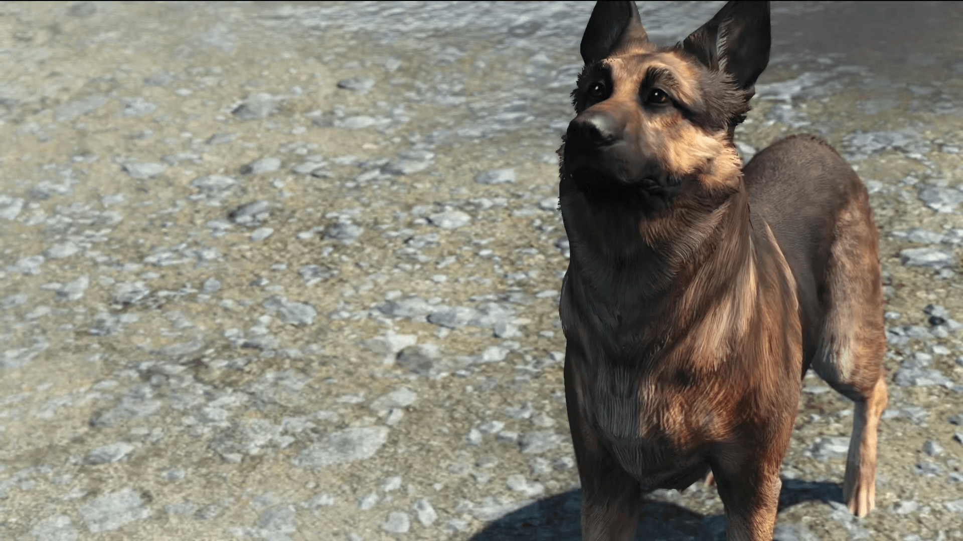 Fallout 4 companion perks