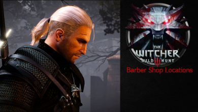 Witcher 3 Hairstyles Guide