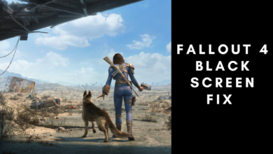 Fallout 4 Black Screen Fix