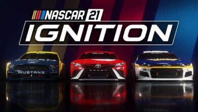 NASCAR 21 Ignition Bugs