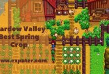 Stardew Valley best spring crop