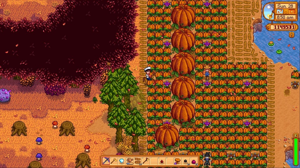 Pumpkin best fall crops