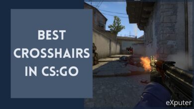 Best CSGO Crosshair Settings Pro