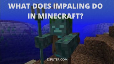 what does impaling do in Minecraft?