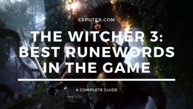 Witcher 3 best runewords