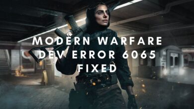 modern warfare dev error 6065