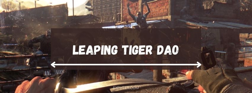 DLC Equipment Leaping Tiger Tao