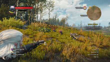 Top Crossbows 11 in witcher 3