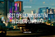 best operating system in Cyberpunk 2077