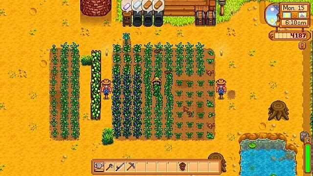 parsnip farm harvest