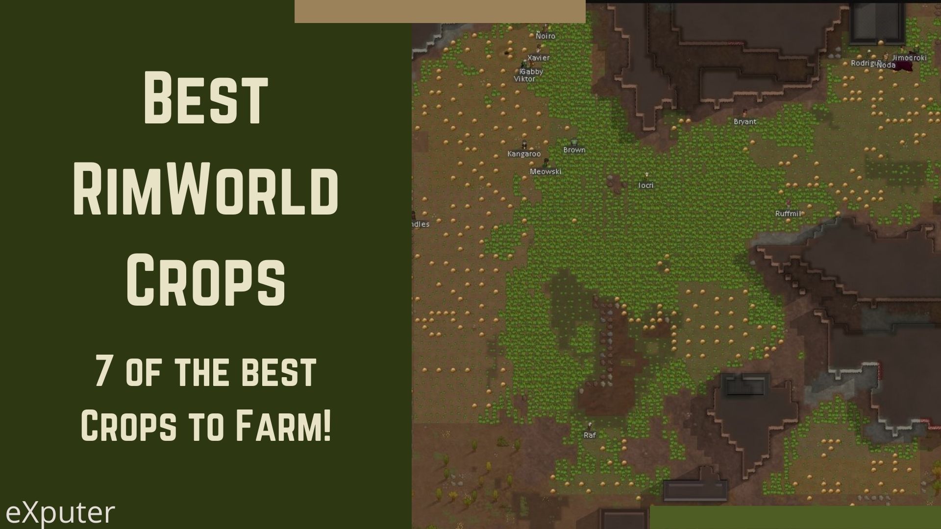 best crop Rimworld