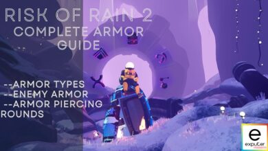 Armor in Risk of Rain 2
