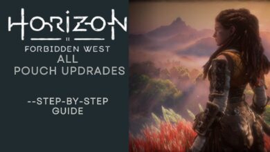 Horizon Forbidden West pouch upgrades