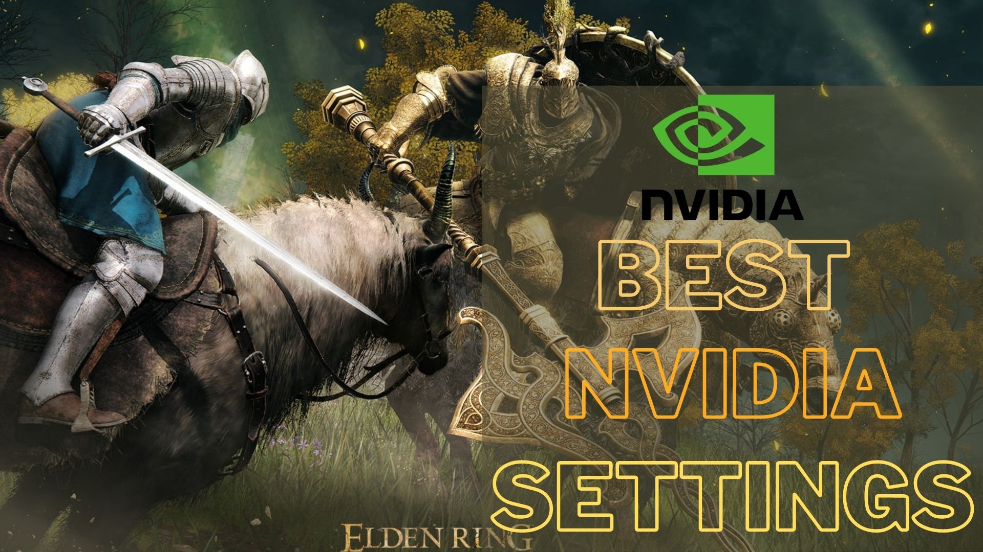 Best Nvidia Settings for Elden Ring