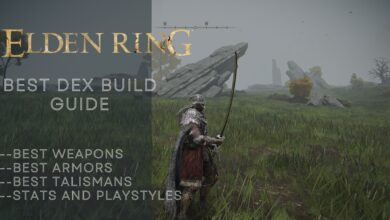 Elden Ring Best Dex Build