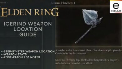 Elden Ring Icerind Hatchet Weapon