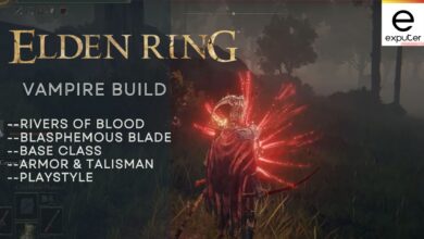 Elden Ring Vampire Build