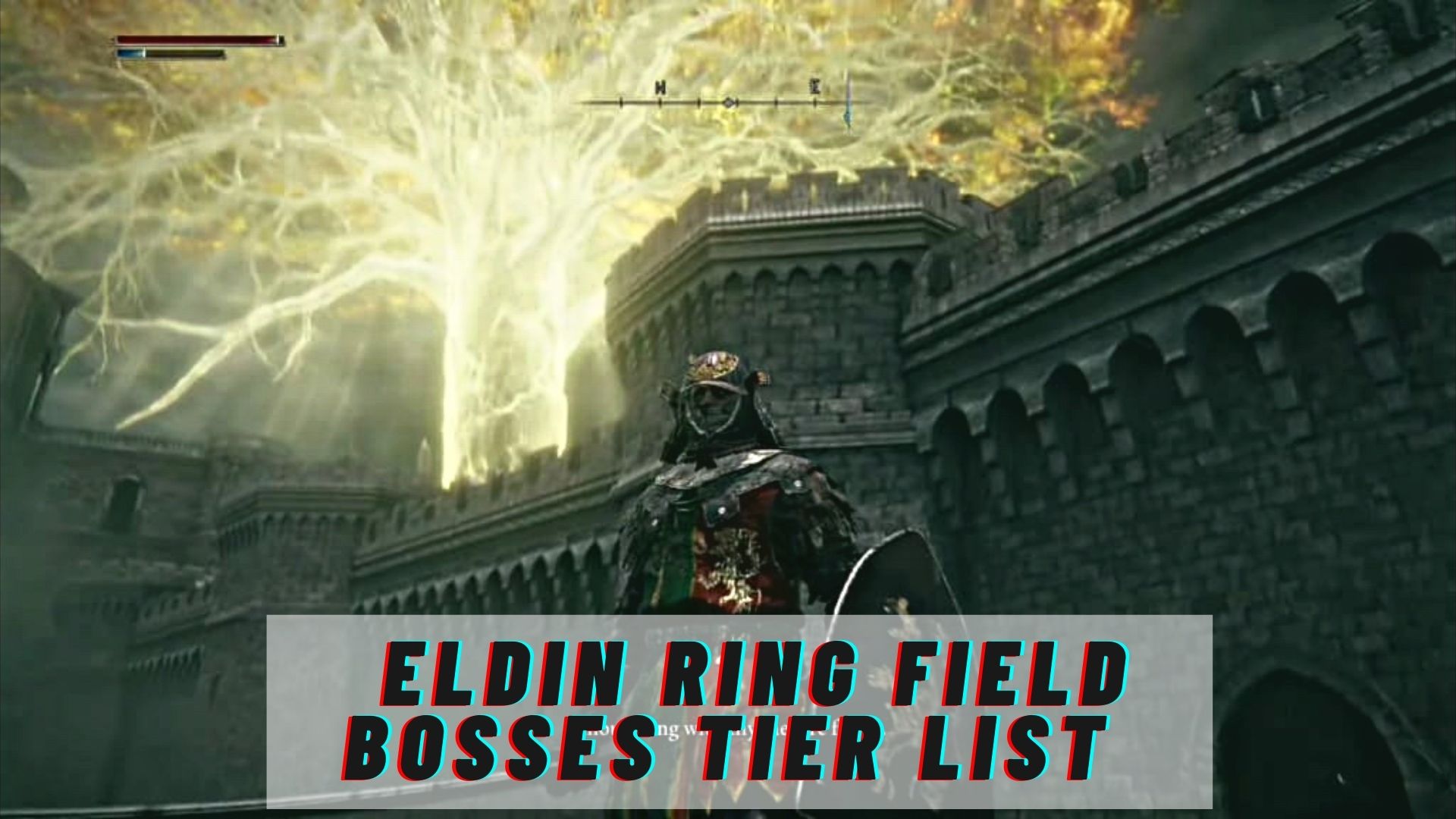 Elden Ring Field Bosses