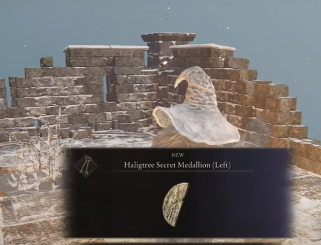 Left Haligtree Medallion is located on top of the Castle Sol in Elden Ring,