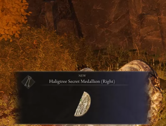You'll get the Right Haligtree Medallion.