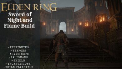 Sword of Night And Flame Build Elden Ring