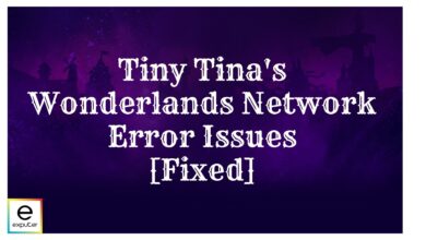 Tiny Tina's Wonderlands network error