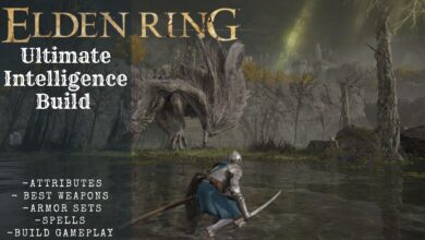 Elden Ring Intelligence Build