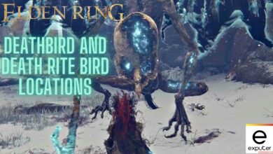 Elden Ring Deathbird & Death Rite Bird Locations