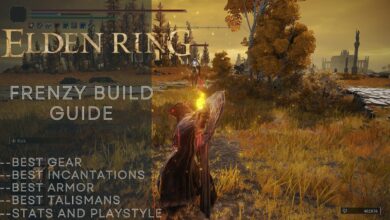 Elden Ring Frenzy Build
