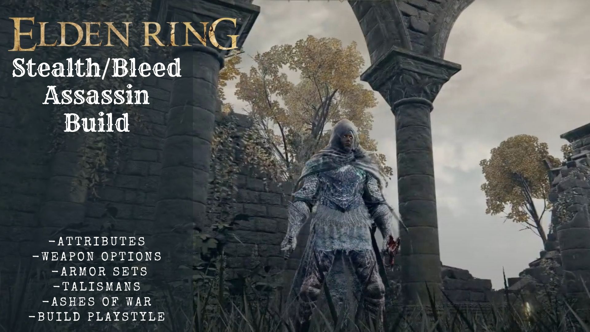Elden Ring Assassin Build Guide