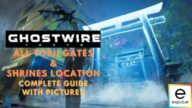 Guide to All Torii Gates & Shrines in Ghostwire Tokyo
