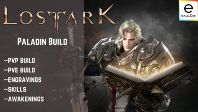 Paladin Build Guide