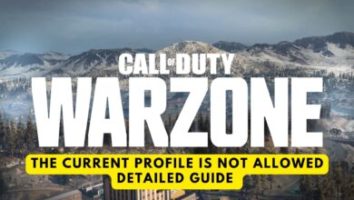 Warzone the current profile is not allowed