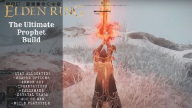 The Ultimate Elden Ring Prophet Build