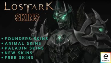 Skins in Lost Ark