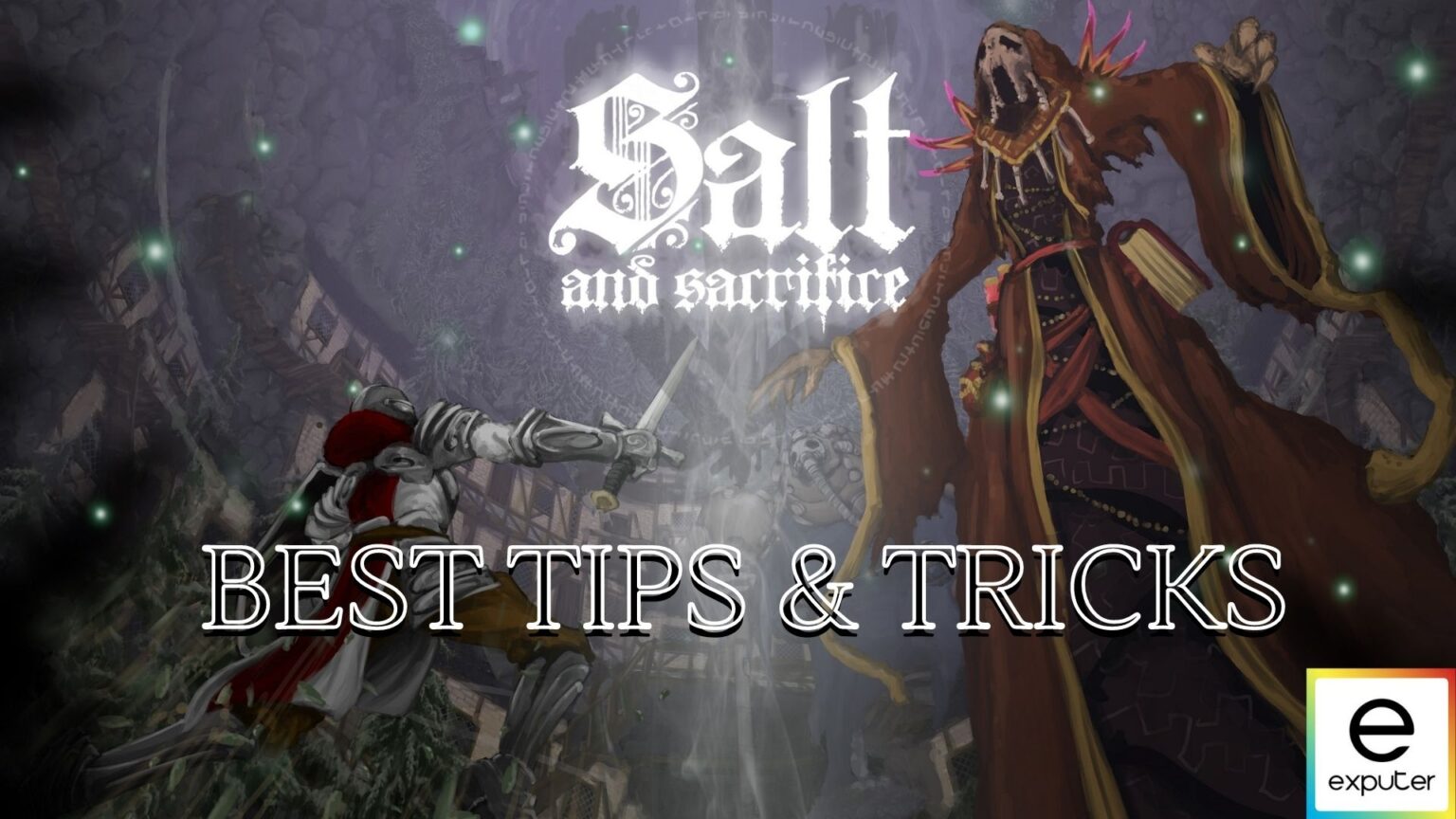 salt and sacrifice classes