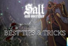 Tips Tricks Salt and Sacrifice