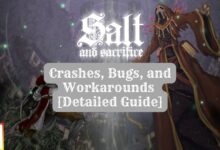 Salt and Sacrifice crashes, bugs, and workarounds
