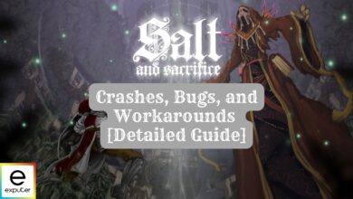 Salt and Sacrifice crashes, bugs, and workarounds