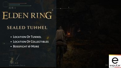 Guide on Sealed Tunnel