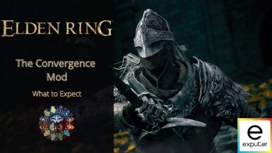 The Convergence Mod of Elden Ring