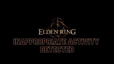 Elden Ring inappropriate activity detected