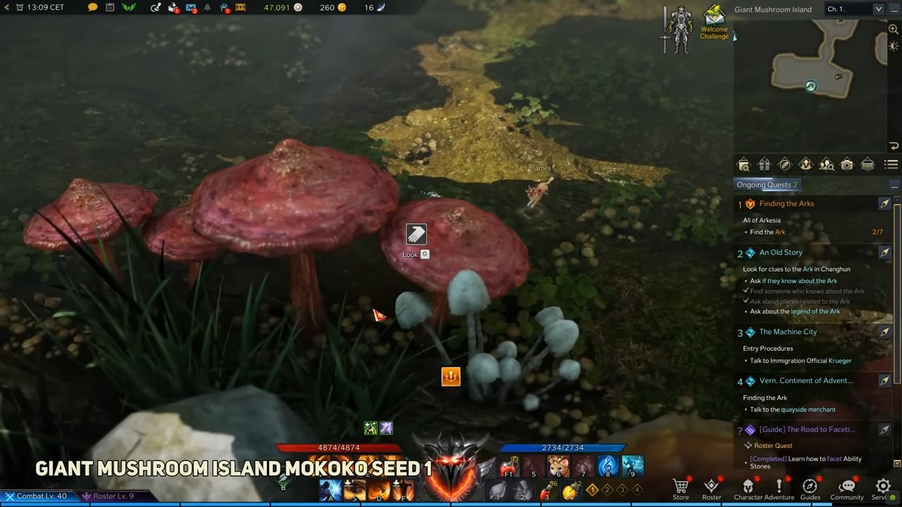 mokoko seed Giant Mushroom Island Seeds1