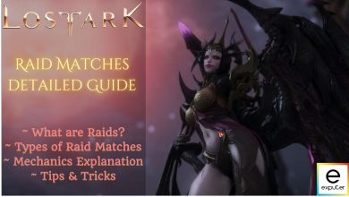 raid matches Lost Ark