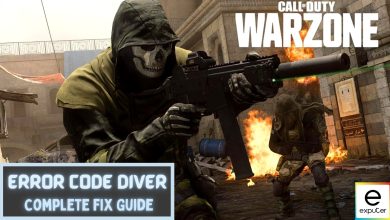 warzone error code diver